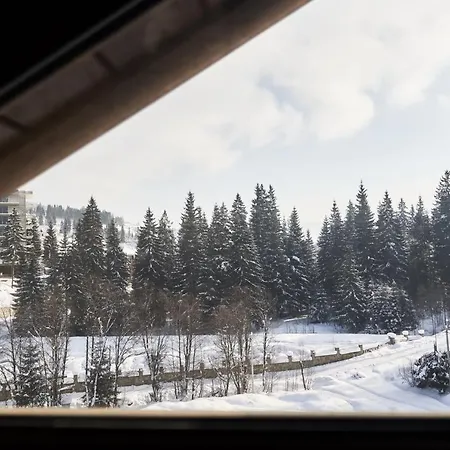 Gor * Буковель